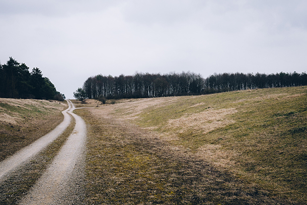 Photo of a gravel road that winds through fields and trees